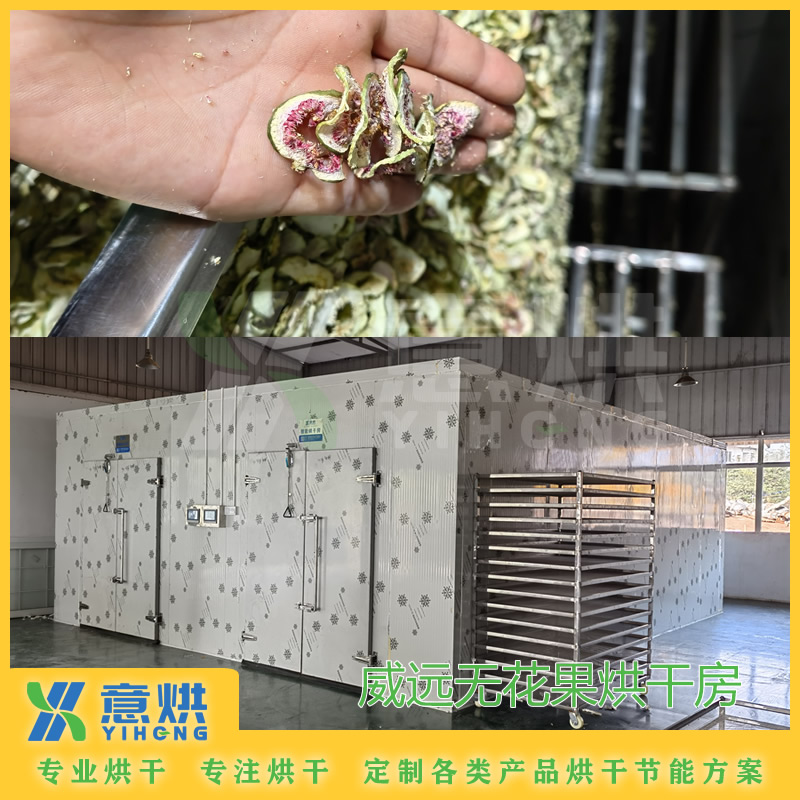 威遠(yuǎn)無(wú)花果烘干房